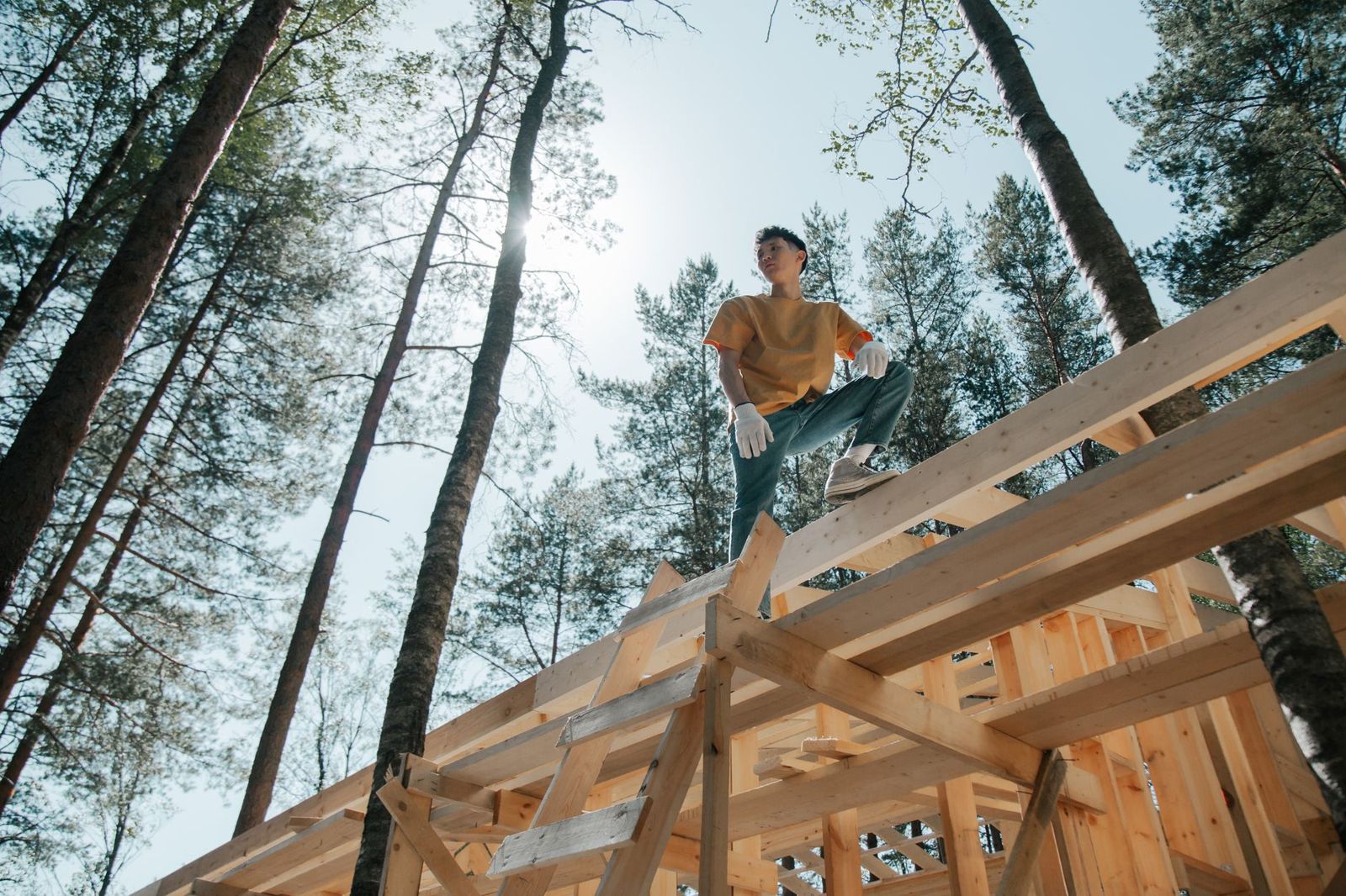 Carpenter in work gloves standing on a raised timber frame of beams and joists among tall pine trees